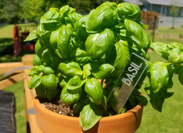 garden markers